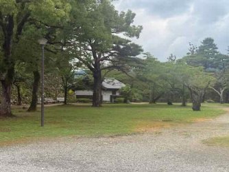 IMG_2404.jpeg IMG_2404.jpeg