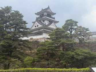 IMG_2406.jpeg IMG_2406.jpeg