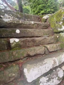 IMG_2412.jpeg IMG_2412.jpeg