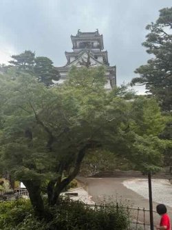 IMG_2424.jpeg IMG_2424.jpeg