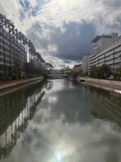 IMG_2455.jpeg IMG_2455.jpeg