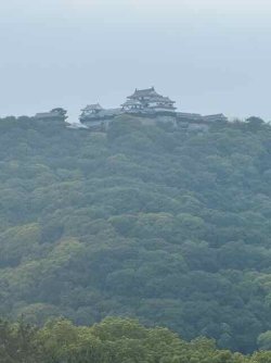 IMG_2538.jpeg IMG_2538.jpeg