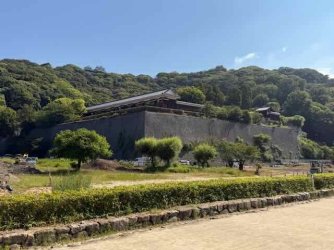 IMG_2560.jpeg IMG_2560.jpeg