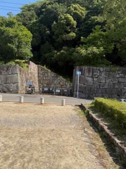 IMG_2561.jpeg IMG_2561.jpeg