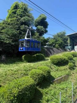 IMG_2579.jpeg IMG_2579.jpeg