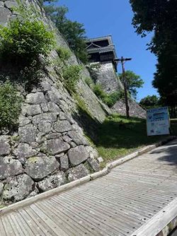 IMG_2581.jpeg IMG_2581.jpeg