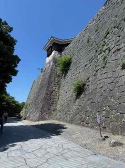 IMG_2582.jpeg IMG_2582.jpeg