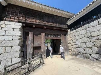 IMG_2587.jpeg IMG_2587.jpeg