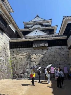 IMG_2595.jpeg IMG_2595.jpeg