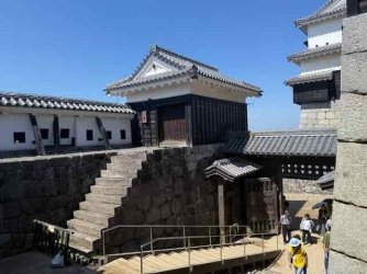 IMG_2597.jpeg IMG_2597.jpeg