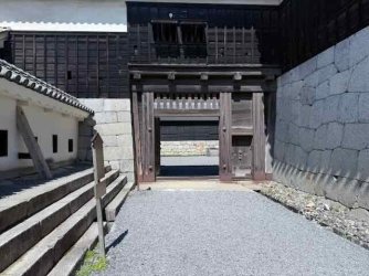 IMG_2600.jpeg IMG_2600.jpeg