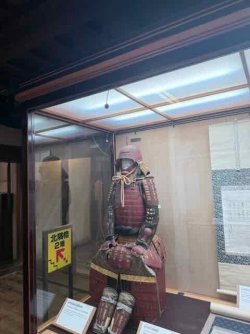 IMG_2609.jpeg IMG_2609.jpeg