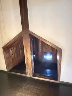 IMG_2640.jpeg IMG_2640.jpeg