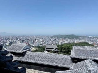 IMG_2644.jpeg IMG_2644.jpeg