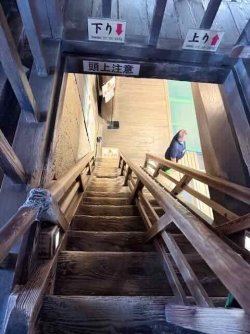 IMG_2655.jpeg IMG_2655.jpeg