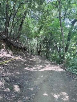 IMG_2687.jpeg IMG_2687.jpeg