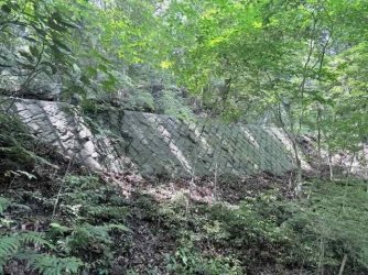 IMG_2691.jpeg IMG_2691.jpeg