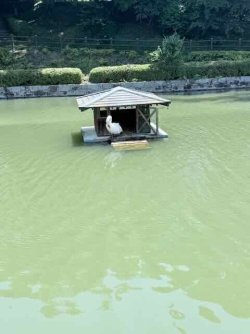 IMG_2710.jpeg IMG_2710.jpeg