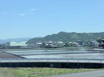 IMG_2730.jpeg IMG_2730.jpeg