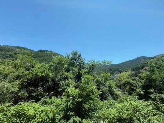 IMG_2744.jpeg IMG_2744.jpeg