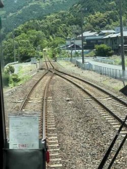 IMG_2755.jpeg IMG_2755.jpeg