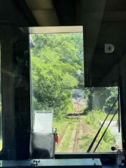 IMG_2770.jpeg IMG_2770.jpeg