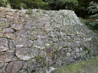 IMG_2772.jpeg IMG_2772.jpeg