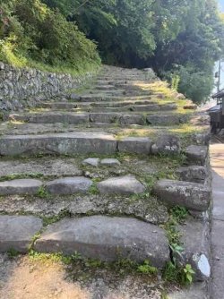 IMG_2774.jpeg IMG_2774.jpeg