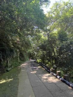 IMG_2777.jpeg IMG_2777.jpeg