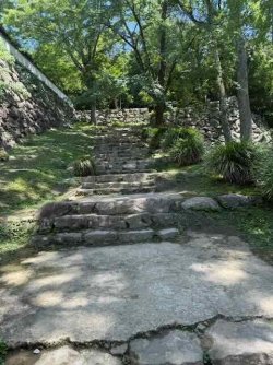 IMG_2784.jpeg IMG_2784.jpeg