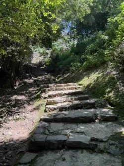 IMG_2797.jpeg IMG_2797.jpeg