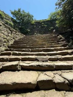 IMG_2800.jpeg IMG_2800.jpeg