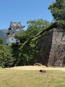 IMG_2805.jpeg IMG_2805.jpeg