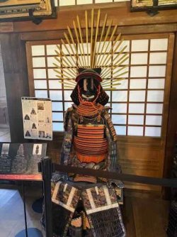 IMG_2832.jpeg IMG_2832.jpeg