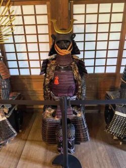 IMG_2834.jpeg IMG_2834.jpeg