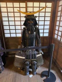 IMG_2835.jpeg IMG_2835.jpeg