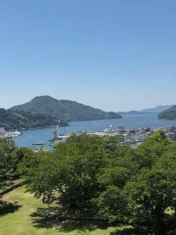 IMG_2845.jpeg IMG_2845.jpeg