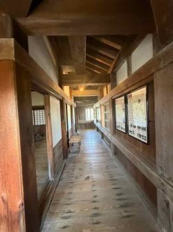 IMG_2846.jpeg IMG_2846.jpeg