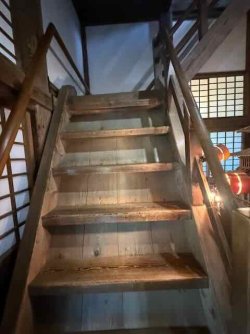 IMG_2854.jpeg IMG_2854.jpeg