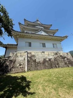 IMG_2859.jpeg IMG_2859.jpeg