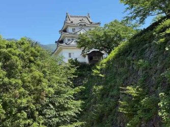 IMG_2864.jpeg IMG_2864.jpeg