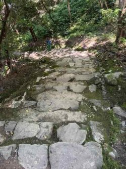 IMG_2870.jpeg IMG_2870.jpeg