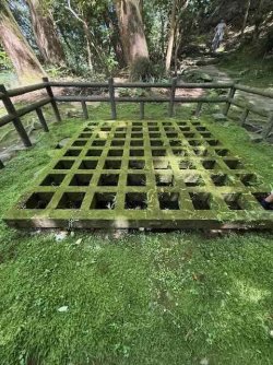 IMG_2874.jpeg IMG_2874.jpeg