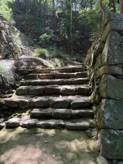 IMG_2881.jpeg IMG_2881.jpeg