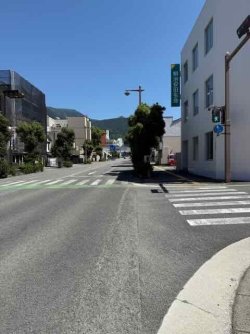 IMG_2884.jpeg IMG_2884.jpeg