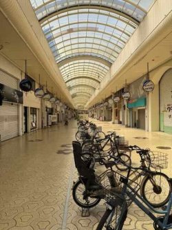 IMG_2887.jpeg IMG_2887.jpeg