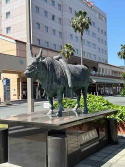 IMG_2892.jpeg IMG_2892.jpeg