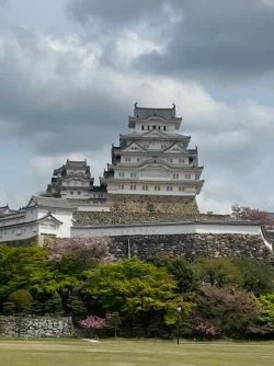 IMG_1502 (4).jpeg IMG_1502 (4).jpeg