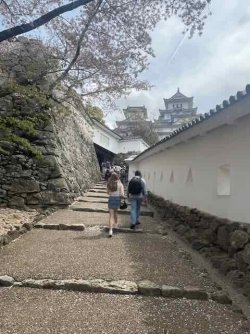 IMG_1523 (4).jpeg IMG_1523 (4).jpeg