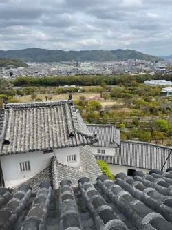 IMG_1542 (5).jpeg IMG_1542 (5).jpeg